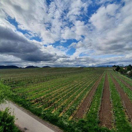 Weinseelig14 Landau in der Pfalz Extérieur photo