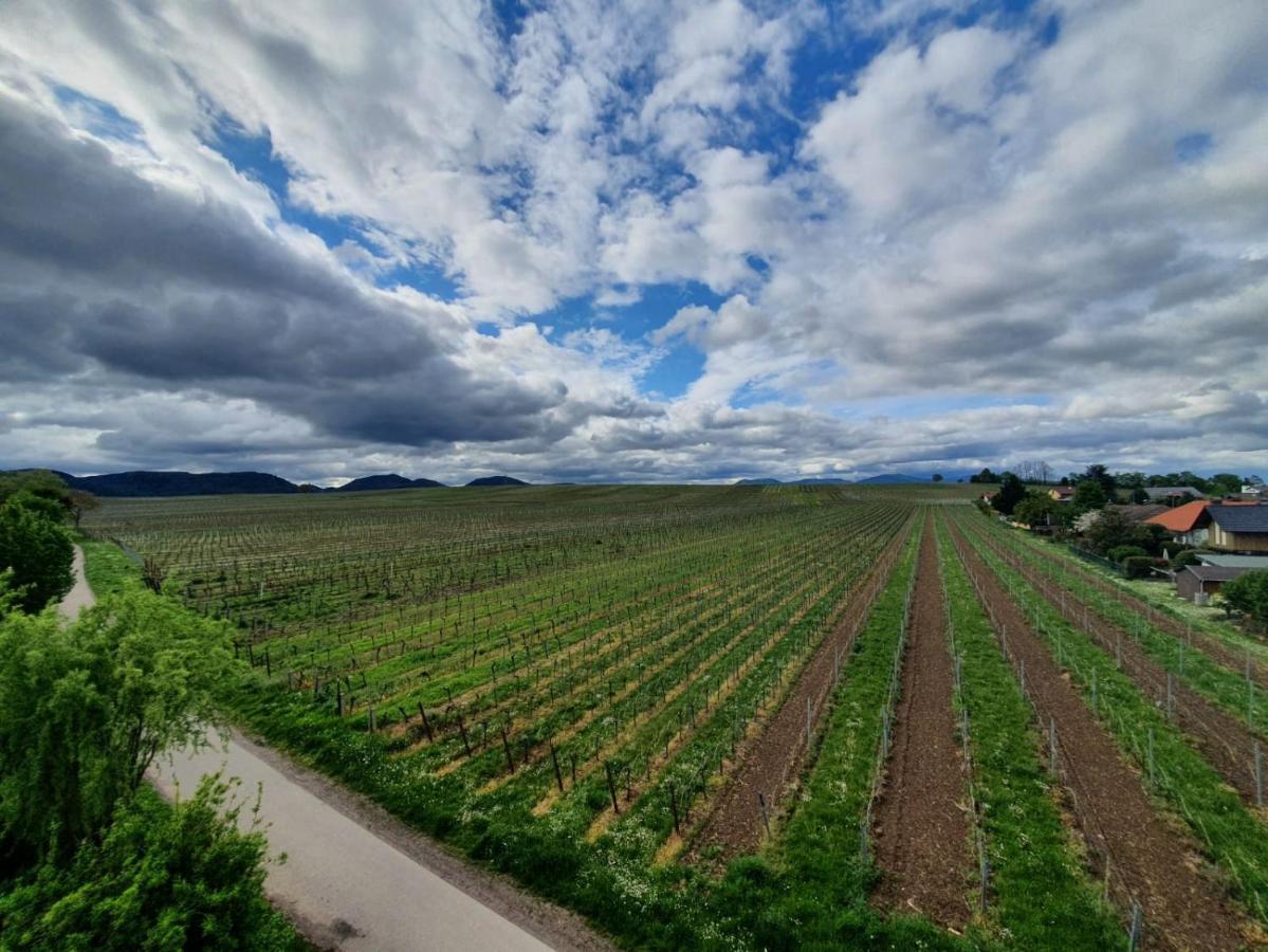 Weinseelig14 Landau in der Pfalz Extérieur photo